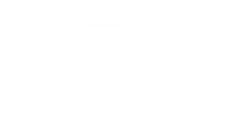 Shandong Hong Kang Packing Technology Co., Ltd