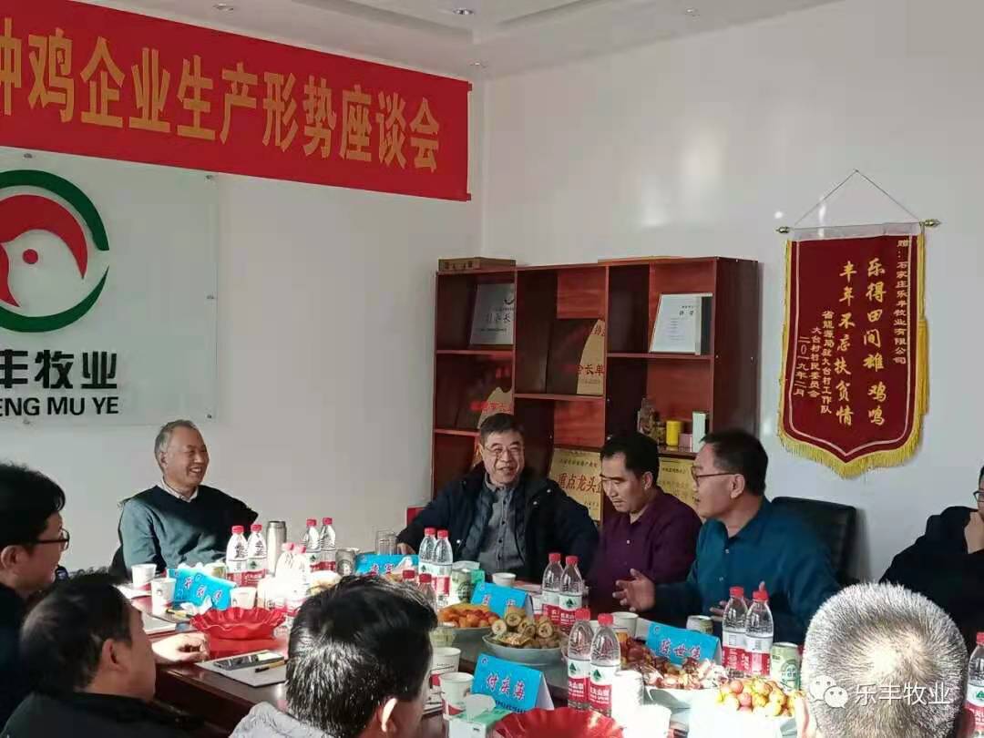 祝贺：河北省大型父母代蛋种鸡企业生产形势座谈会顺利召开