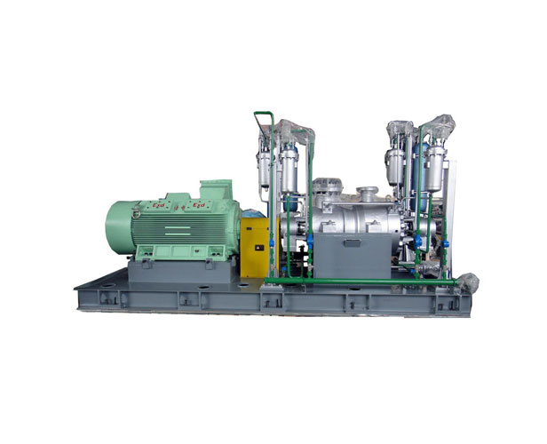 API610 BB5型 SDAY系列 双壳体化工流程泵